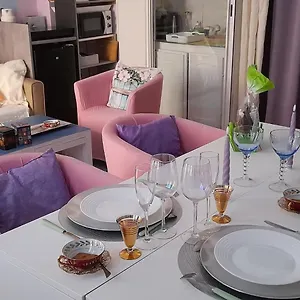  Apartment Beau 2 Pieces Atypique-original 200 M Mer, Promenade Des Anglais, Negresco France